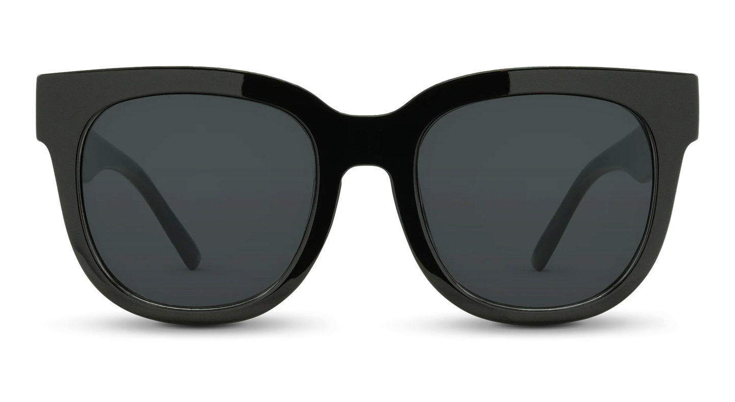 Chatham Sunglasses