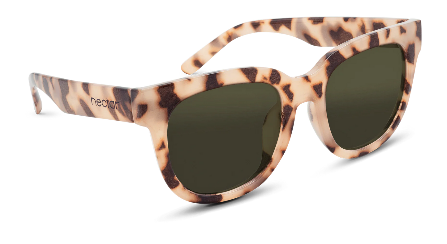 Chatham Sunglasses