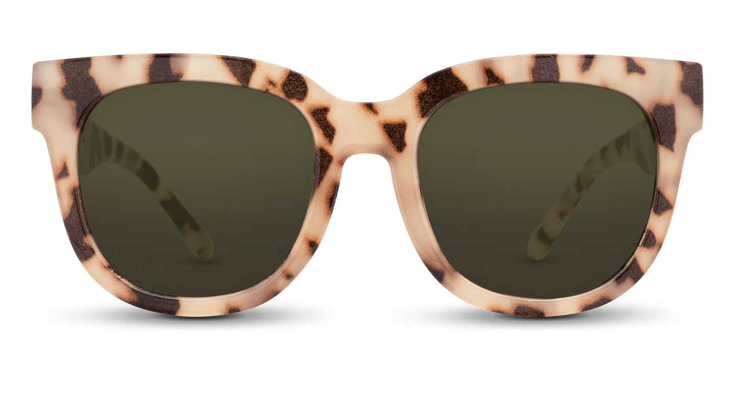 Chatham Sunglasses