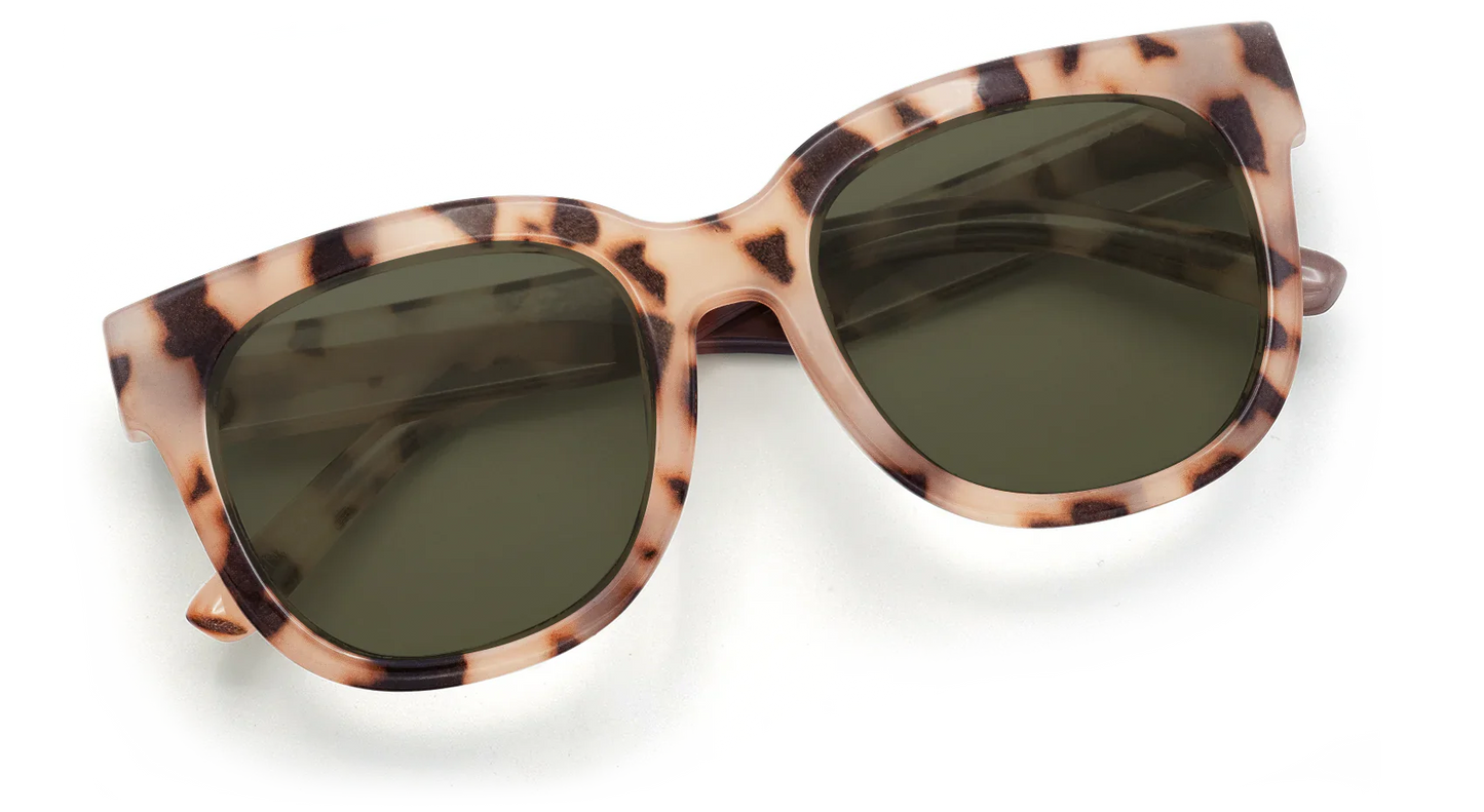 Chatham Sunglasses