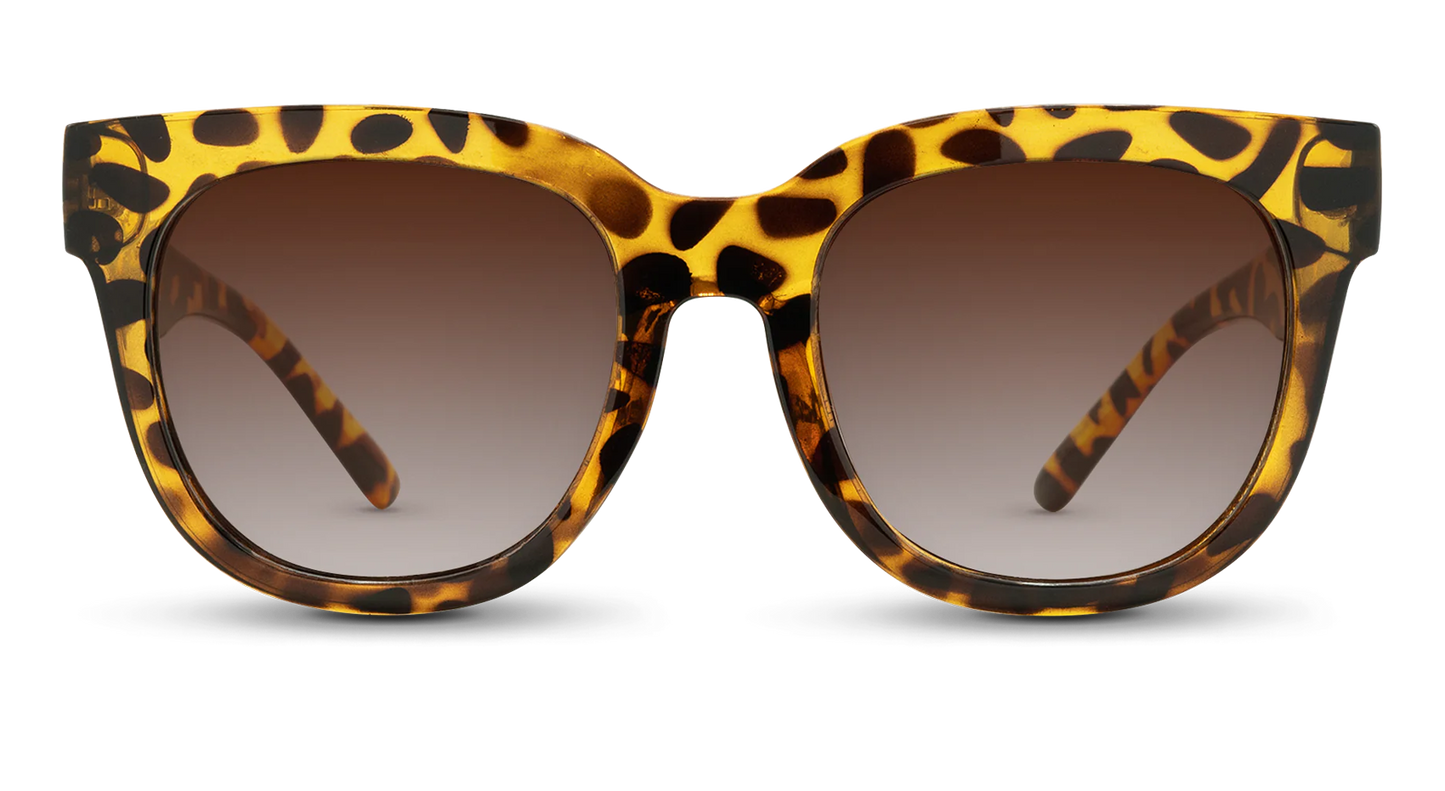 Chatham Sunglasses