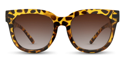 Chatham Sunglasses