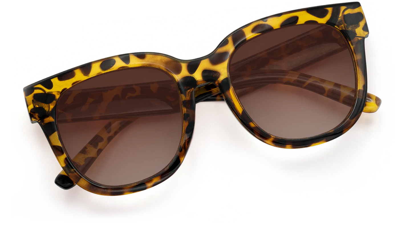Chatham Sunglasses