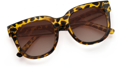 Chatham Sunglasses