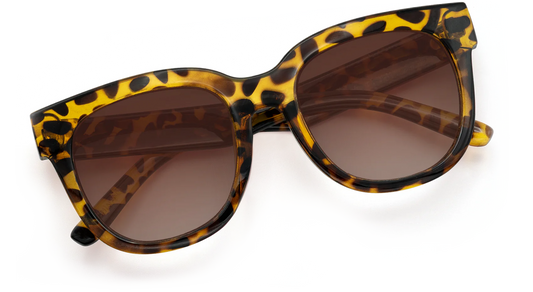 Chatham Sunglasses
