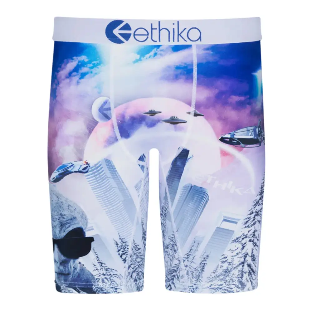 Future Freeze Boys Staple Boxer Briefs.