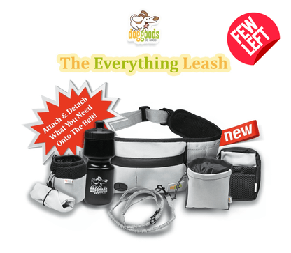 Dog Leash Fanny Pack (The Everything Leash)