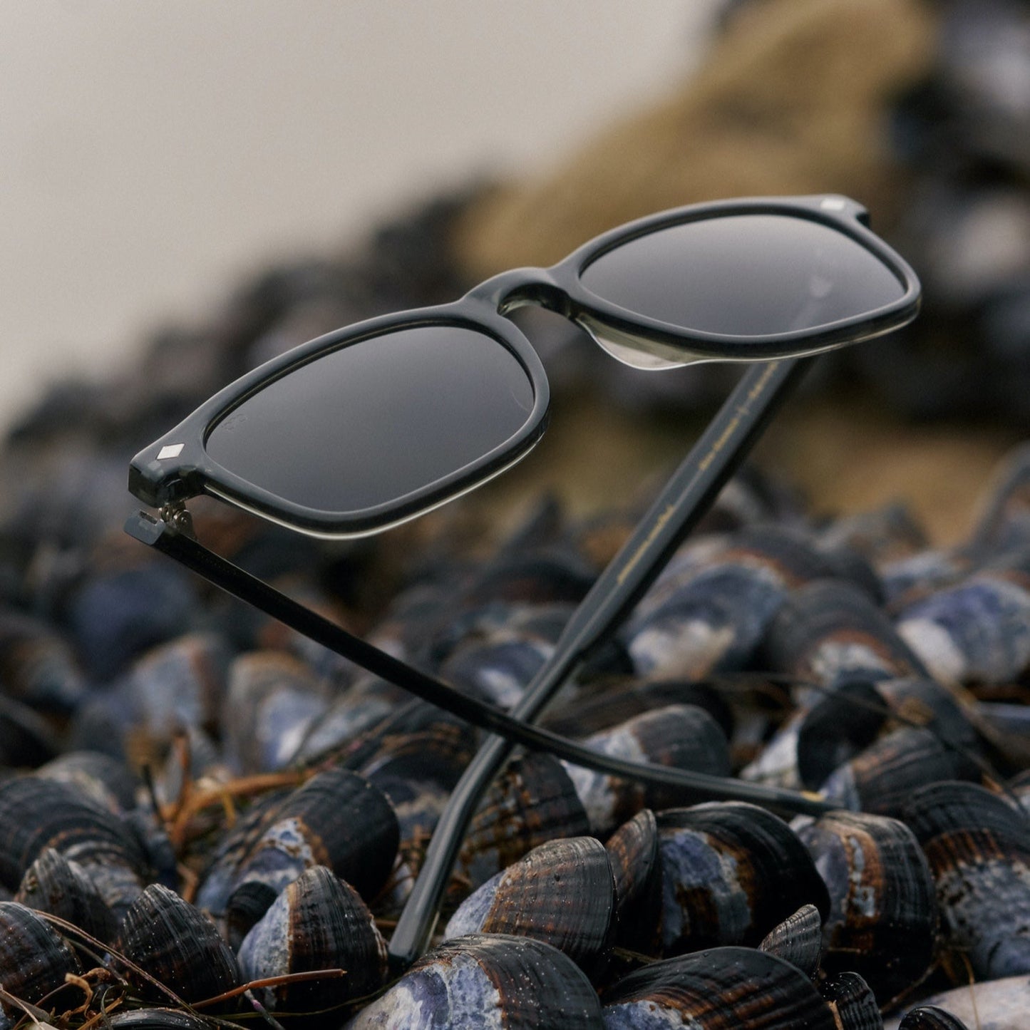 Largo Sunglass