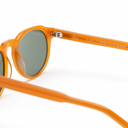 Tribe Sunglasswes