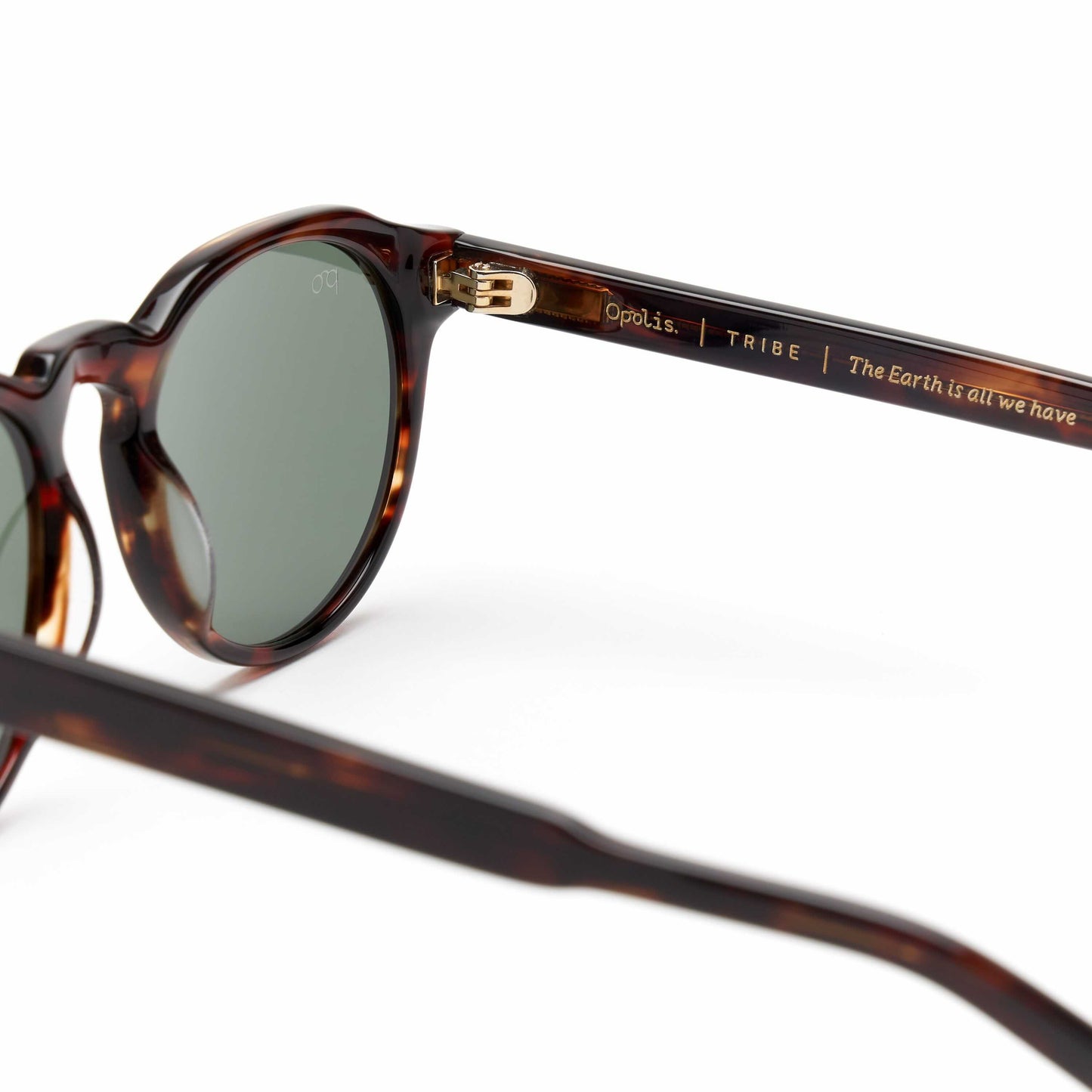Tribe Sunglasswes