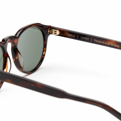 Tribe Sunglasswes