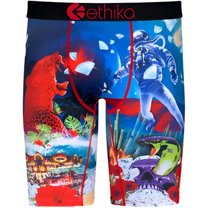 WTE Astro Mens Boxer Briefs.